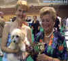 Cody z Haliparku - vítěz Puppy Super Best in Show.