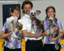 Chvíle společné radosti - Oberwart 2004 - vítězná chovatelská skupina (Belissa, Eso, Elizabeth z Haliparku) 