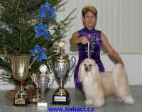 Cody z Haliparku - 3.12.2005 - Champion of Champions - Slovakia