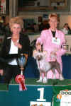 Ch. Kitty z Haliparku - JUNIOR BEST IN SHOW winner CACIB Lausanne 2007. Thanks to judge Mrs. Monique van Brempt (B)! Kitty was handled by her breeder and owner Libuse Brychtova.