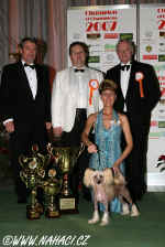 Ich. Gessi Modrý květ - Champion of Champions SK 2007 - Bratislava. Judges: Hans W. Müller (CH), Lisbeth Mach (CH), Denis Kuzejl (SLO). 