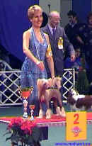 Res. BIG - Champion of Champions Budapest 2002 - Gessi Modr kvt